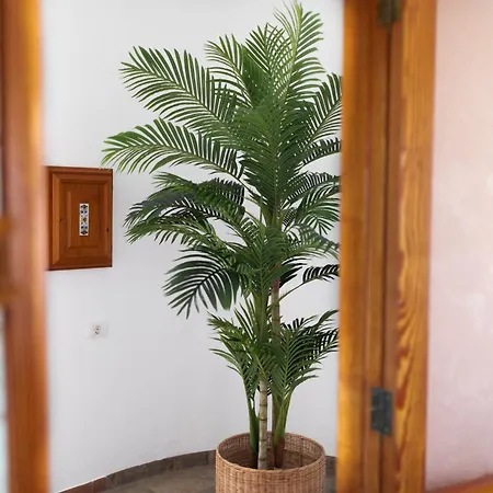 Casa Mia 1 Maspalomas Relax In An Exclusive Oasis Of Peace Just 10 Minutes From Lighthouse Apartment *